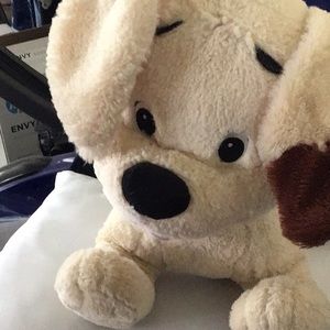 Meet your Posher, Sandy